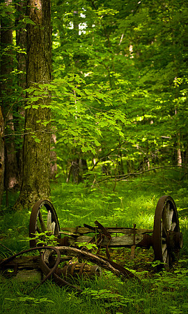 Abandoned