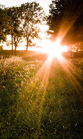 Summer Setting