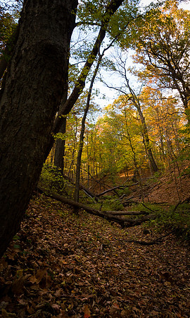 Carpenter Park