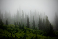 5D4_0956